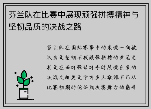 芬兰队在比赛中展现顽强拼搏精神与坚韧品质的决战之路
