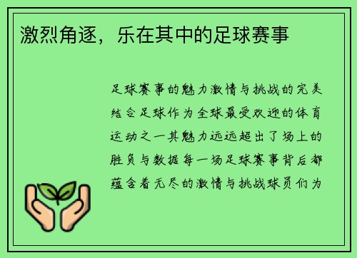 激烈角逐，乐在其中的足球赛事