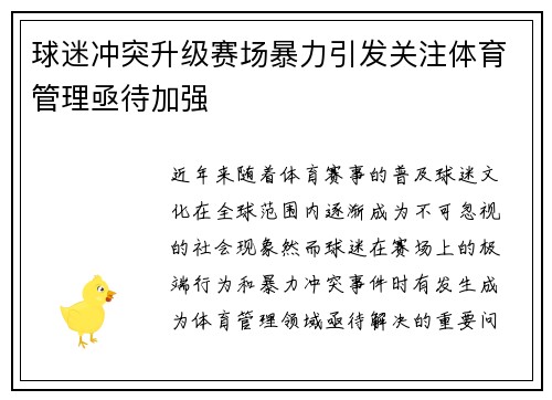 球迷冲突升级赛场暴力引发关注体育管理亟待加强